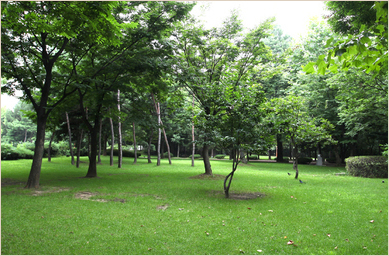 도산공원 사진