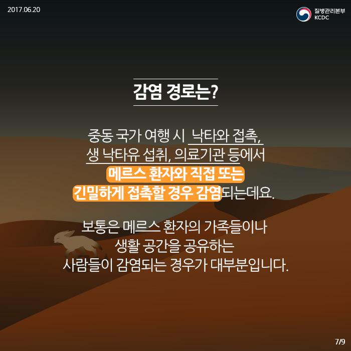 감염경로는? 중동 국가 여행 시 낙타와 접촉, 생 낙타유 섭취, 의료기관 등에서 메르스 환자와 직접 또는 긴밀하게 접촉할 경우 감염되는데요 보통은 메르스 환자의 가족들이나 생활공간을 공유하는 사람들이 감염되는 경우가 대부분입니다