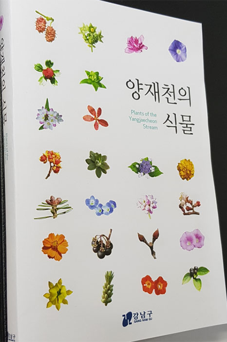 ‘기분 좋은 변화, 품격 있는 강남’을 구현 중인 강남구(구청장 정순균)가 영동2교에서 탄천2교까지 양재천 15.6km 구간의 생물상을 알리고 생태교육 자료로 활용하기 위해 이달 초 ‘양재천의 식물’ 책자를 제작했다.