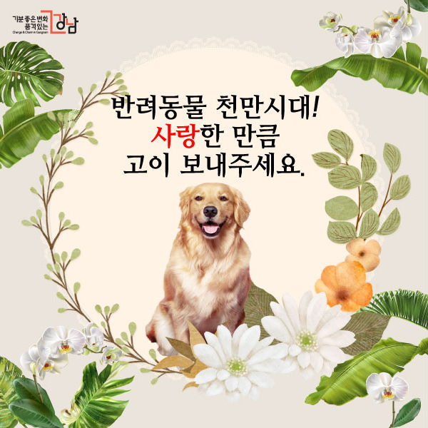 반려동물 천만시대! 사랑한 만큼 고이 보내주세요.