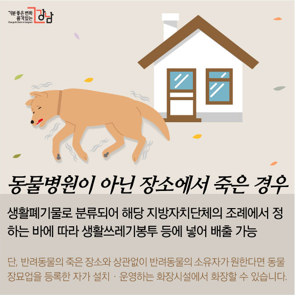 반려동물이 죽으면 어떻게 해야 할까요?