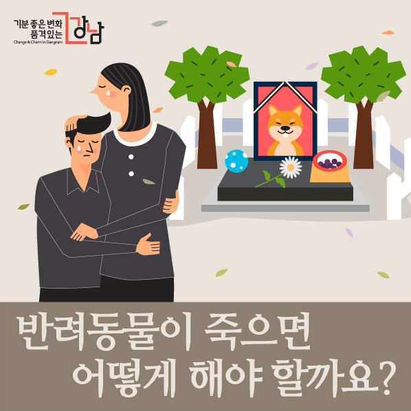 반려동물이 죽으면 어떻게 해야 할까요