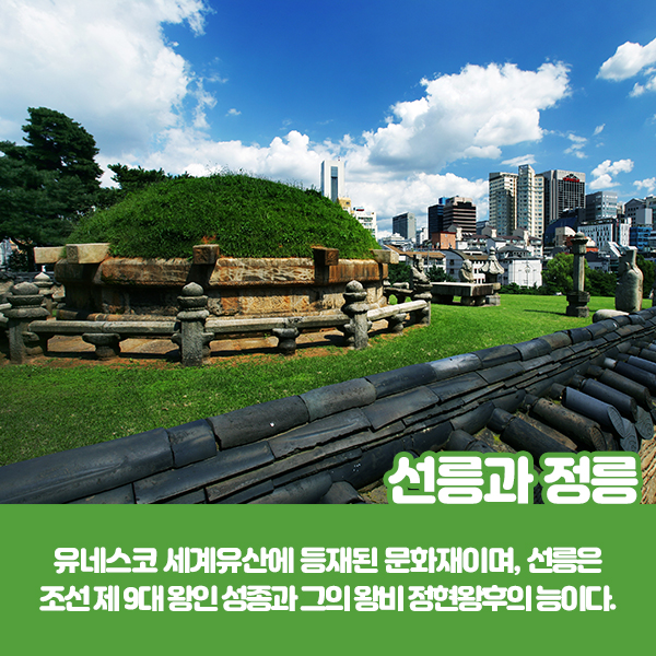 내가 명소?
