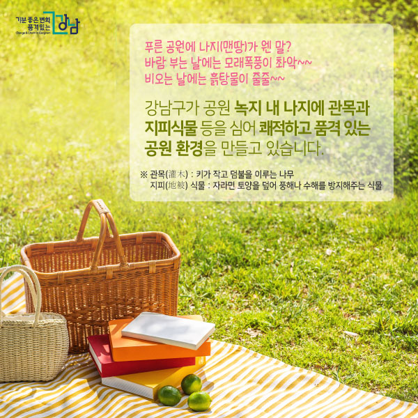 푸른 공원에 나지(맨땅)가 웬 말? 바람 부는 날에는 모래폭풍이 촤악~~ 비오는 날에는 흙탕물이 줄줄~~ 강남구가 공원 녹지 내 나지에 관목과 지피식물 등을 심어 쾌적하고 품격 있는 공원 환경을 만들고 있습니다. ※ 관목(灌木) : 키가 작고 덤불을 이루는 나무 지피(地被) 식물 : 자라면 토양을 덮어 풍해나 수해를 방지해주는 식물