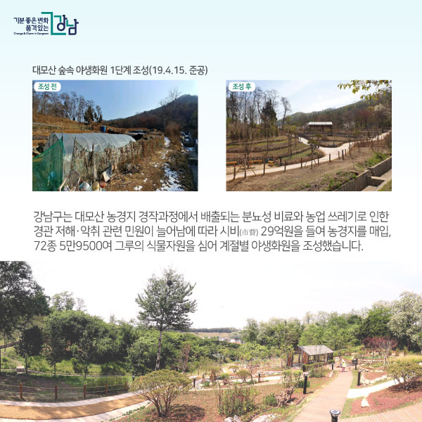 강남구는 대모산 농경지 경작과정에서 배출되는 분뇨성 비료와 농업 쓰레기로 인한 경관 저해ㆍ악취 관련 민원이 늘어남에 따라 시비(市費) 21억원을 들여 농경지를 매입, 72종 5만9500여 그루의 식물자원을 심어 계절별 야생화원을 조성했습니다.