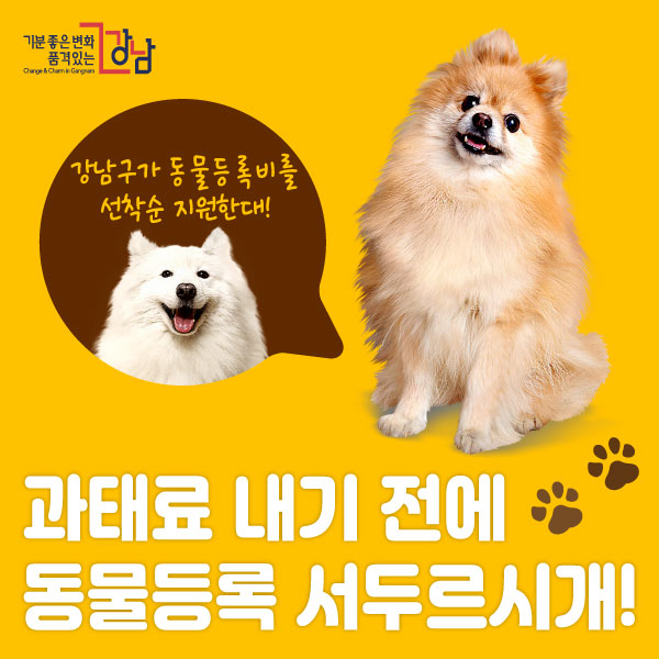 과태료 내기 전에 동물등록 서두르시개! (강남구가 동물등록비를 선착순 지원한대!)