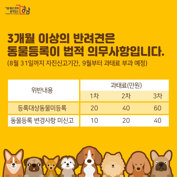 3개월 이상의 반려견은 동물등록이 법적 의무사항입니다. (8월 31일까지 자진신고기간, 9월부터 과태료 부과 예정)