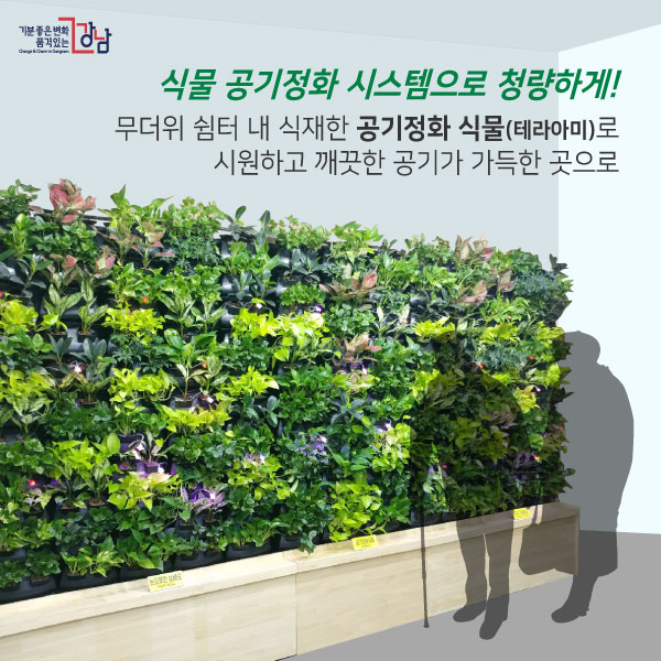 식물 공기정화 시스템으로 청량하게! 무더위 쉼터 내 식재한 공기정화 식물(테라아미)로 시원하고 깨끗한 공기가 가득한 곳으로