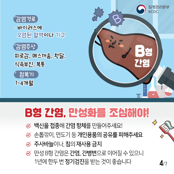 B형 간염 - 감염경로: 바이러스에 오염된 혈액이나 기구 - 감염증상: 피로감, 메스꺼움, 황달, 식욕부진, 복통 - 잠복기: 1~4개월 B형 간염 만성화를 조심해야! ☑백신을 접종해 간염 항체를 만들어주세요! ☑손톱깎이, 면도기 등 개인용품의 공유를 피해주세요 ☑주사바늘이나 침의 재사용 금지 ☑만성B형 간염은 간염, 간병변으로 이어질 수 있으니 1년에 한두 번 정기검진을 받는 것이 좋습니다