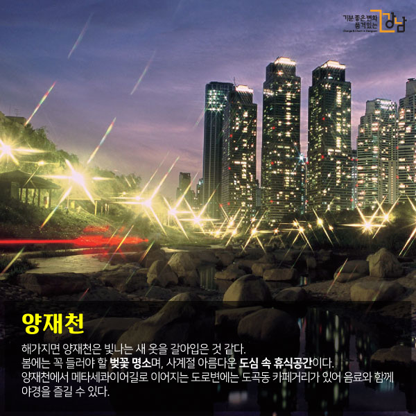 양재천 해가지면 양재천은 빛나는 새 옷을 갈아입은 것 같다. 봄에는 꼭 들러야 할 벚꽃 명소며, 사계절 아름다운 도심 속 휴식공간이다. 양재천에서 메타세콰이어길로 이어지는 도로변에는 도곡동 카페거리가 있어 음료와 함께 야경을 즐길 수 있다.