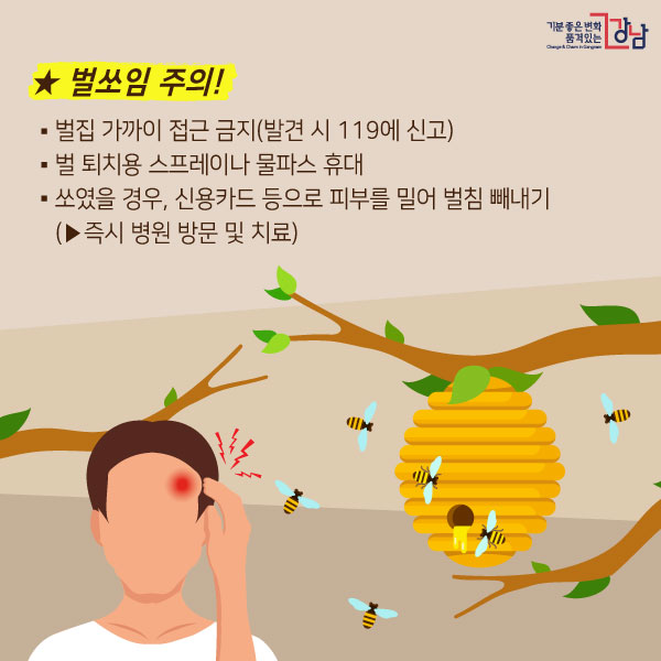 ★벌쏘임 주의!  - 벌집 가까이 접근 금지(발견 시 119에 신고) - 벌 퇴치용 스프레이나 물파스 휴대 - 쏘였을 경우, 신용카드 등으로 피부를 밀어 벌침 빼내기   (▶즉시 병원 방문 및 치료) 