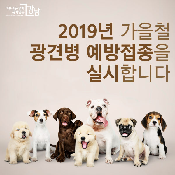 2019년 가을철 광견병 예방접종을 실시합니다.