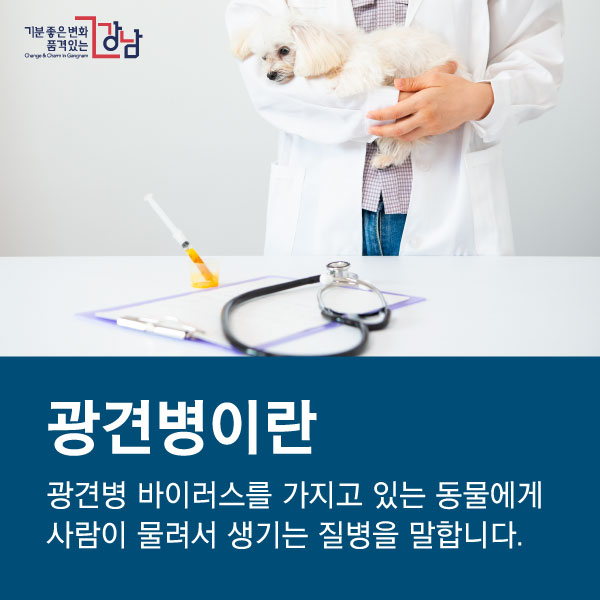  광견병이란광견병 바이러스를 가지고 있는 동물에게 사람이 물려서 생기는 질병을 말합니다.