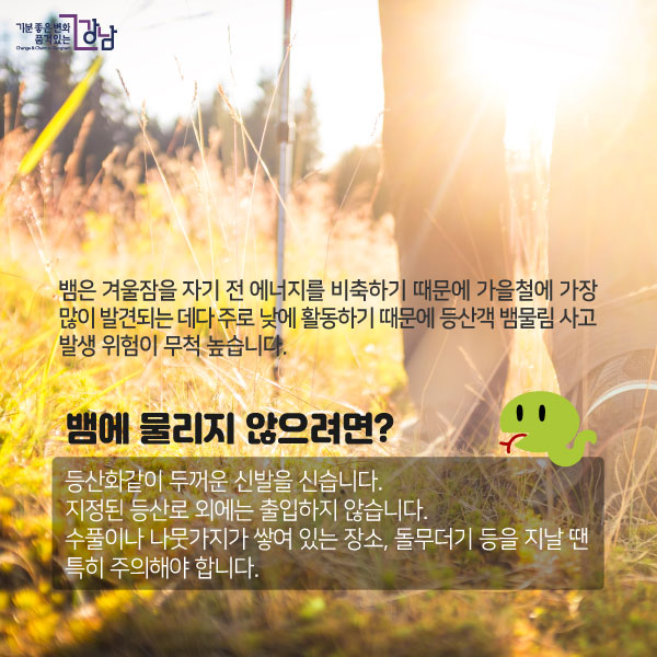 뱀에 물리지 않으려면?- 등산화같이 두꺼운 신발을 신습니다. - 지정된 등산로 외에는 출입하지 않습니다.수풀이나 나뭇가지가 쌓여 있는 장소, 돌무더기 등을 지날 땐 특히 주의해야 합니다.
