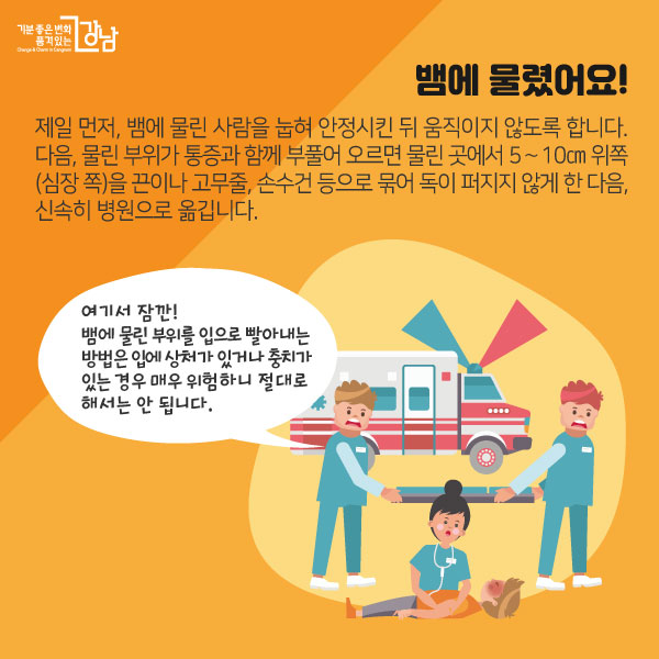 뱀에 물렸어요!제일 먼저, 뱀에 물린 사람을 눕혀 안정시킨 뒤 움직이지 않도록 합니다.다음, 물린 부위가 통증과 함께 부풀어 오르면 물린 곳에서 5∼10㎝ 위쪽(심장 쪽)을 끈이나 고무줄, 손수건 등으로 묶어 독이 퍼지지 않게 한 다음, 신속히 병원으로 옮깁니다.여기서 잠깐!뱀에 물린 부위를 입으로 빨아내는 방법은 입에 상처가 있거나 충치가 있는 경우 매우 위험하니 절대로 해서는 안 됩니다.