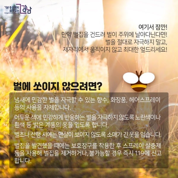 벌에 쏘이지 않으려면? - 냄새에 민감한 벌을 자극할 수 있는 향수, 화장품, 헤어스프레이 등의 사용을 자제합니다. - 어두운 색에 민감하게 반응하는 벌을 자극하지 않도록 노란색이나 흰색 등 밝은 계통의 옷을 입도록 합니다. - 벌초나 산행 시에는 맨살이 보이지 않도록 소매가 긴 옷을 입습니다.  - 벌집을 발견했을 때에는 보호장구를 착용한 후 스프레이 살충제 등을 사용해 벌집을 제거하거나, 불가능할 경우 즉시 119에 신고합니다.여기서 잠깐!만약 벌집을 건드려 벌이 주위에 날아다닌다면!벌을 절대로 자극하지 말고, 제자리에서 움직이지 않고 최대한 엎드리세요!