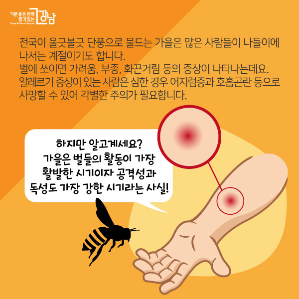 전국이 울긋불긋 단풍으로 물드는 가을은 많은 사람들이 나들이에 나서는 계절이기도 합니다. 하지만 알고계세요? 가을은 벌들의 활동이 가장 활발한 시기이자 공격성과 독성도 가장 강한 시기라는 사실!벌에 쏘이면 가려움, 부종, 화끈거림 등의 증상이 나타나는데요. 알레르기 증상이 있는 사람은 심한 경우 어지럼증과 호흡곤란 등으로 사망할 수 있어 각별한 주의가 필요합니다.