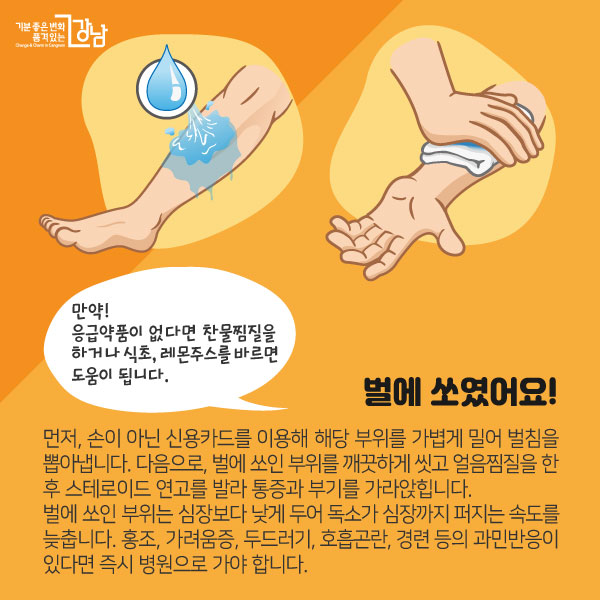 벌에 쏘였어요!먼저, 손이 아닌 신용카드를 이용해 해당 부위를 가볍게 밀어 벌침을 뽑아냅니다.다음으로, 벌에 쏘인 부위를 깨끗하게 씻고 얼음찜질을 한 후 스테로이드 연고를 발라 통증과 부기를 가라앉힙니다.만약!응급약품이 없다면 찬물찜질을 하거나 식초, 레몬주스를 바르면 도움이 됩니다벌에 쏘인 부위는 심장보다 낮게 두어 독소가 심장까지 퍼지는 속도를 늦춥니다. 홍조, 가려움증, 두드러기, 호흡곤란, 경련 등의 과민반응이 있다면 즉시 병원으로 가야 합니다.