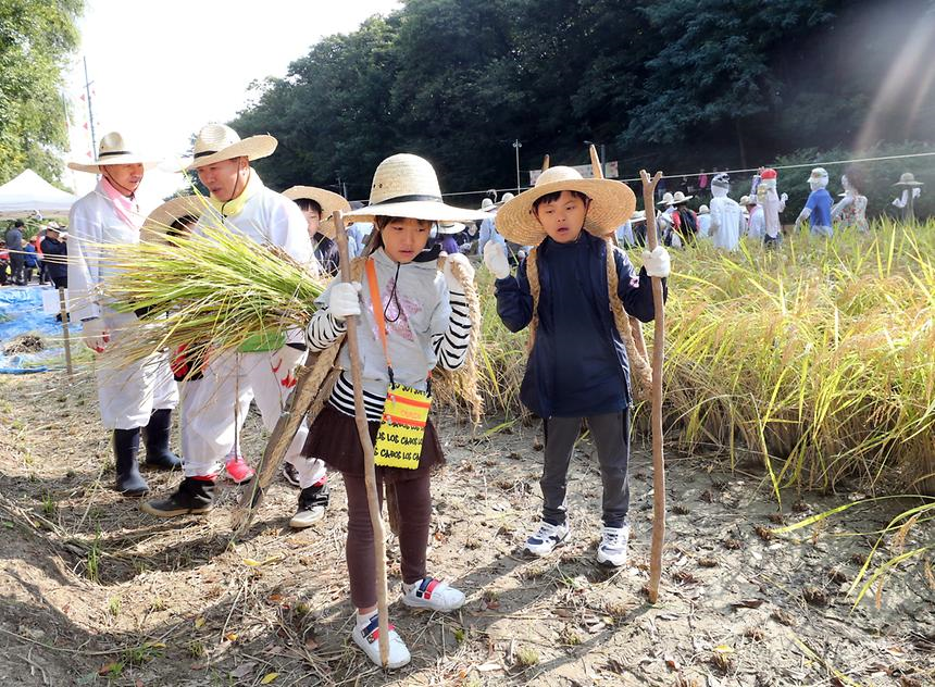 강남구 가을걷이 체험 행사