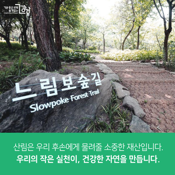 산림은 우리 후손에게 물려줄 소중한 재산입니다. 우리의 작은 실천이,건강한 자연을 만듭니다.