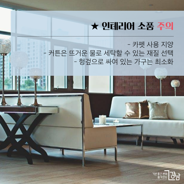 ★ 인테리어 소품 주의 - 카펫은 되도록 사용 지양 - 커튼은 뜨거운 물로 세탁할 수 있는 재질 선택 - 헝겊으로 싸여 있는 가구는 최소화