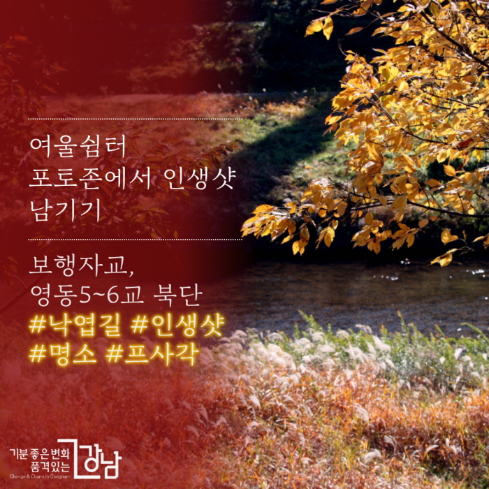 여울쉼터 포토존에서 인생샷 남기기 보행자교, 영동5~6교 북단 #낙엽길 #인생샷 #명소 #프사각