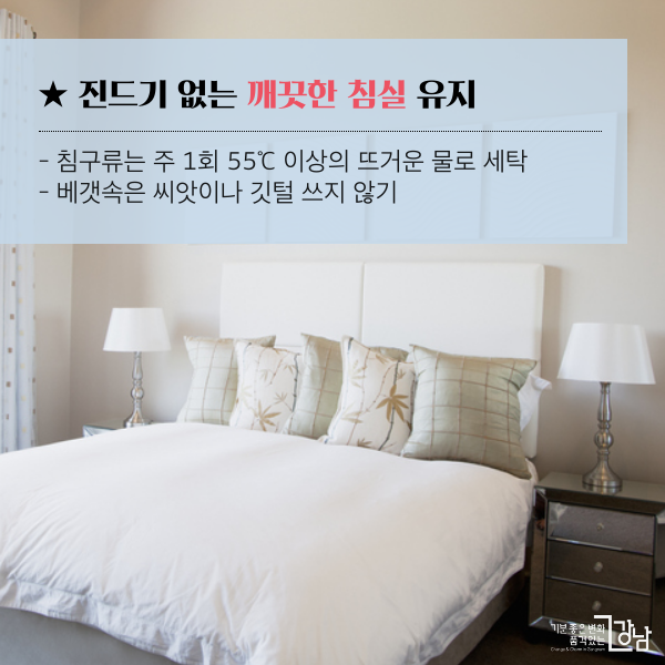 ★ 진드기 없는 깨끗한 침실 유지 - 침구류는 일주일에 한 번씩 55℃ 이상의 뜨거운 물로 세탁 - 베갯속은 씨앗이나 깃털 쓰지 않기