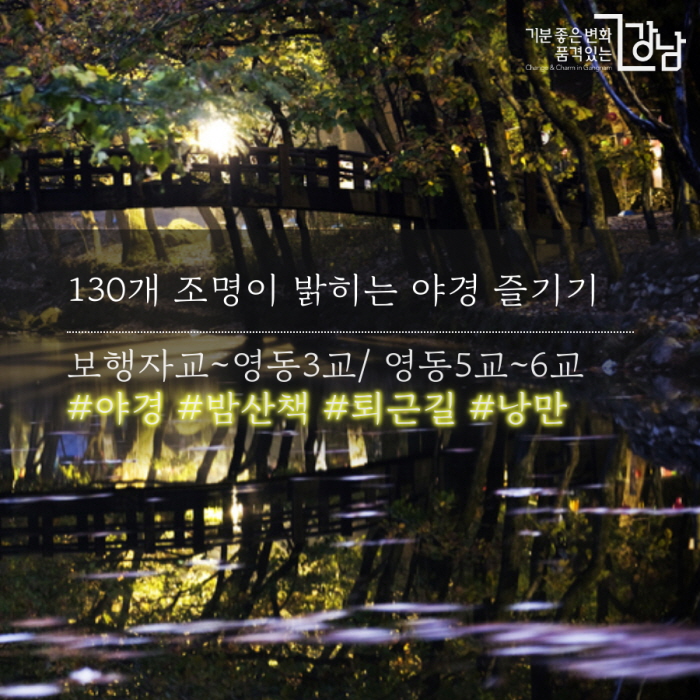 130개 경관조명이 밝히는 야경 즐기기 보행자교~영동3교/ 영동5교~6교 #야경 #밤산책 #퇴근길 #낭만
