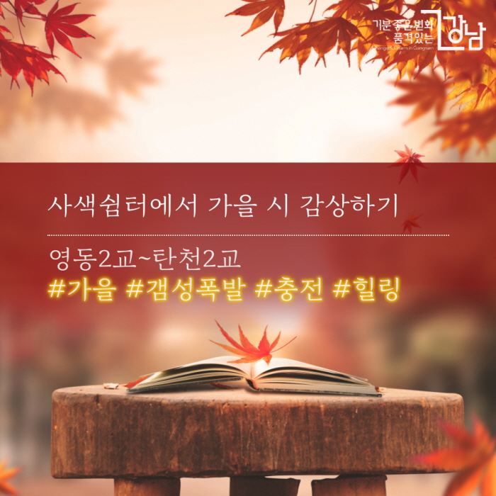 사색쉼터에서 가을과 어울리는 시 감상하기 영동2교~탄천2교 #가을 #갬성폭발 #충전 #힐링