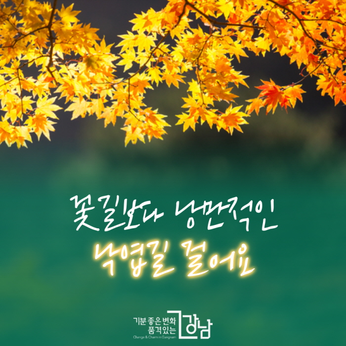 꽃길보다 낭만적인 낙엽길 걸어요