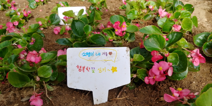 도곡1동