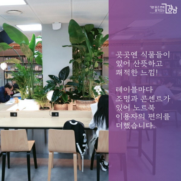 곳곳엔 식물들이 있어 산뜻하고 쾌적한 느낌! 테이블마다 조명과 콘센트가 있어 노트북 이용자의 편의를 더했습니다.