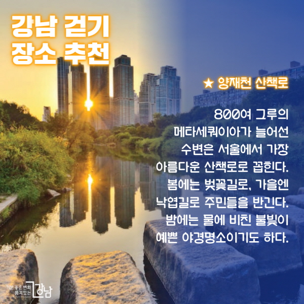강남의 걷기 장소 추천 ★ 양재천 산책로 : 800여 그루의 메타세쿼이아가 늘어선 수변은 서울에서 가장 아름다운 산책로로 꼽 힌다. 봄에는 벚꽃길로, 가을엔 낙엽길로 주민들을 반긴다. 밤에는 물에 비친 불빛이 아름다운 야경명소이기도 하다.