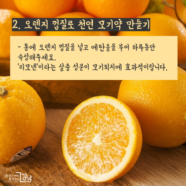 2. 오렌지 껍질로 천연 모기약 만들기 - 통에 오렌지 껍질을 넣고 에탄올을 부어 하루동안 숙성해주세요. ‘리모넨’이라는 살충 성분이 모기퇴치에 효과적이랍니다.
