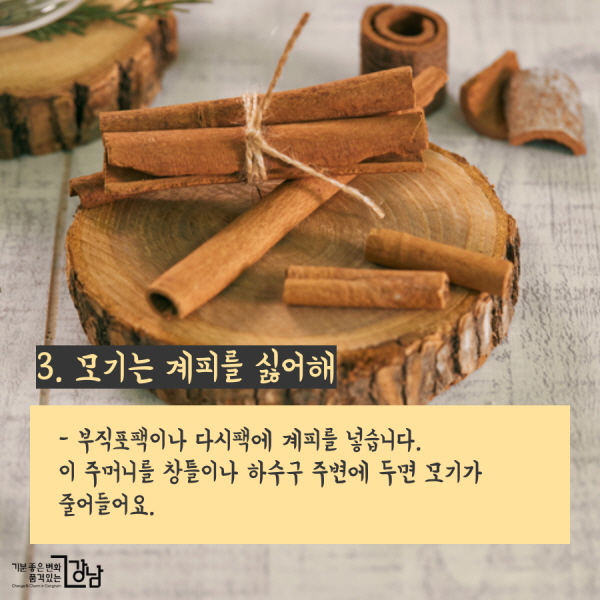 3. 모기는 계피를 싫어해 - 부직포팩이나 다시팩에 계피를 넣습니다. 이 주머니를 창틀이나 하수구 주변에 두면 모기가 줄어들어요.