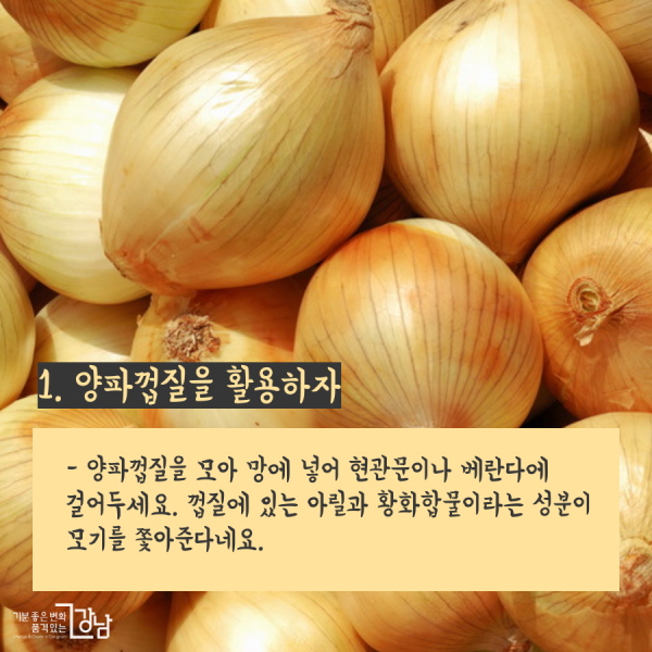1. 양파껍질을 활용하자 - 양파껍질을 모아 망에 넣어 현관문이나 베란다에 걸어두세요. 껍질에 있는 아릴과 황화합물이라는 성분이 모기를 쫓아준다네요.