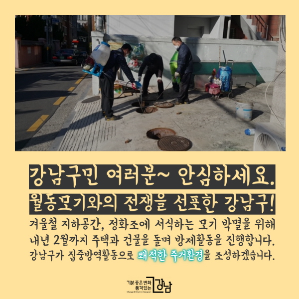 강남구민 여러분~ 안심하세요. 월동모기와의 전쟁을 선포한 강남구! 겨울철 지하공간, 정화조에 서식하는 모기 박멸을 위해 내년 2월까지 주택과 건물을 돌며 방제활동을 진행합니다. 강남구가 집중방역활동으로 쾌적한 주거환경을 조성하겠습니다.