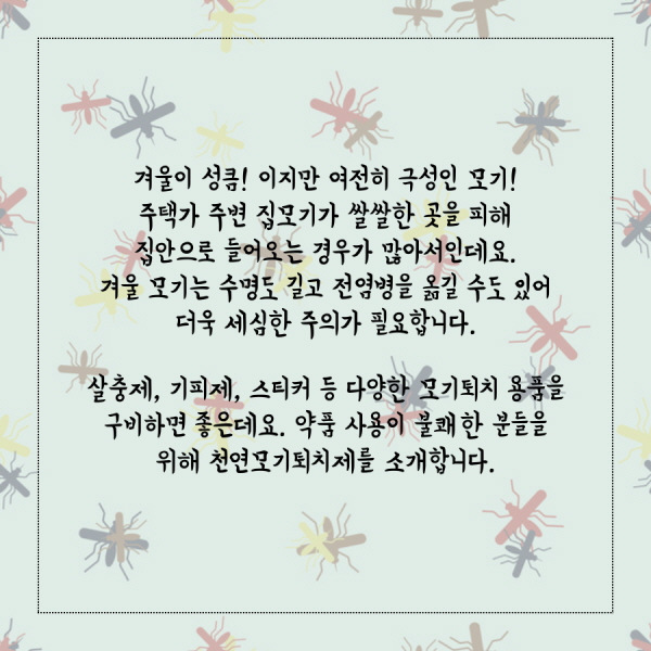 겨울이 성큼! 이지만 여전히 극성인 모기! 주택가 주변 집모기가 쌀쌀한 곳을 피해 집안으로 들어오는 경우가 많아서인데요. 이때 모기는 수명도 길고 전염병을 옮길 수도 있어 더욱 세심한 주의가 필요합니다.