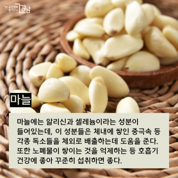 ▲ 마늘 마늘에는 알리신과 셀레늄이라는 성분이 들어있는데, 이 성분들은 체내에 쌓인 중극속 등 각종 독소들을 체외로 배출하는데 도움을 준다. 또한 노폐물이 쌓이는 것을 억제하는 등 호흡기 건강에 좋아 꾸준히 섭취하면 좋다.