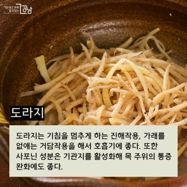 ▲ 도라지 도라지는 기침을 멈추게 하는 진해작용, 가래를 없애는 거담작용을 해서 호흡기에 좋다. 또한 사포닌 성분은 기관지를 활성화해 목 주위의 통증 완화에도 좋다.