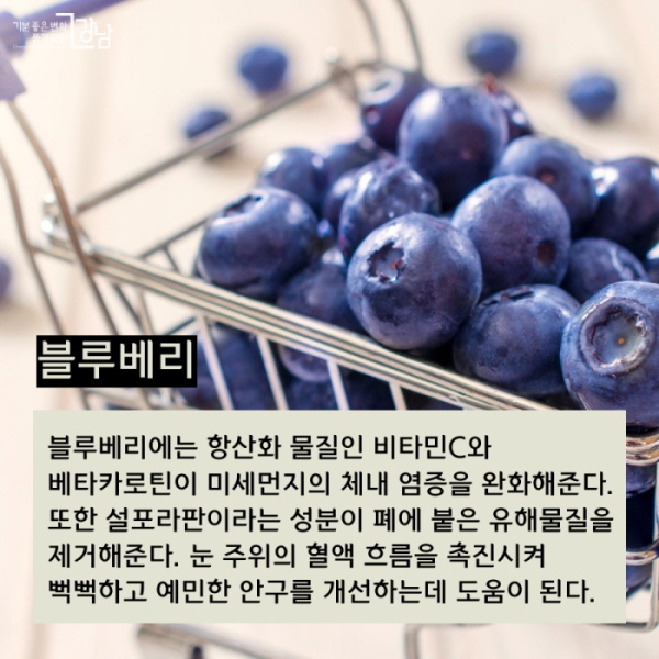 ▲ 블루베리 블루베리에는 항산화 물질인 비타민C와 베타카로틴이 미세먼지의 체내 염증을 완화해준다. 또한 설포라판이라는 성분이 폐에 붙은 유해물질을 제거해준다. 눈 주위의 혈액 흐름을 촉진시켜 뻑뻑하고 예민한 안구를 개선하는데 도움이 된다.