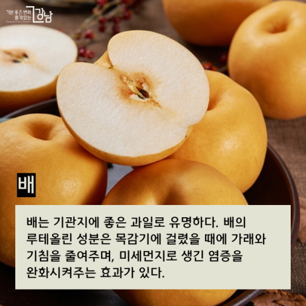 ▲ 배 배는 기관지에 좋은 과일로 유명하다. 배의 루테올린 성분은 목감기에 걸렸을 때에 가래와 기침을 줄여주며, 미세먼지로 생긴 염증을 완화시켜주는 효과가 있다.
