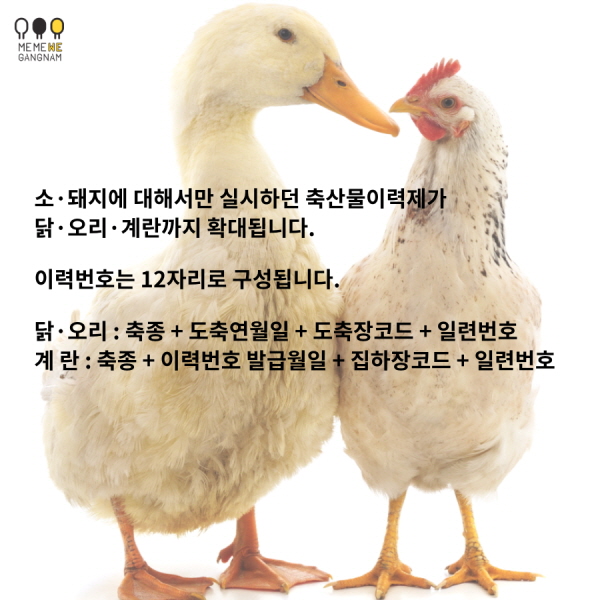 소·돼지에 대해서만 실시하던 축산물이력제가 닭·오리·계란까지 확대됩니다. 이력번호는 12자리로 구성됩니다. 닭·오리 : 축종 + 도축연월일 + 도축장코드 + 일련번호 계란 : 축종 + 이력번호 발급월일 + 집하장코드 + 일련번호