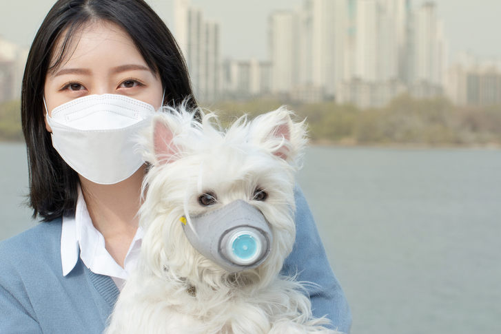 전문가 “감기·독감과 증상 구별 어려워…폐렴 예방접종 도움 안 돼”