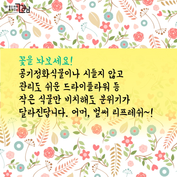 꽃을 놔보세요! 공기정화식물이나 시들지 않고 관리도 쉬운 드라이플라워 등 작은 식물만 비치해도 분위기가 달라진답니다. 어머, 벌써 리프레쉬~!