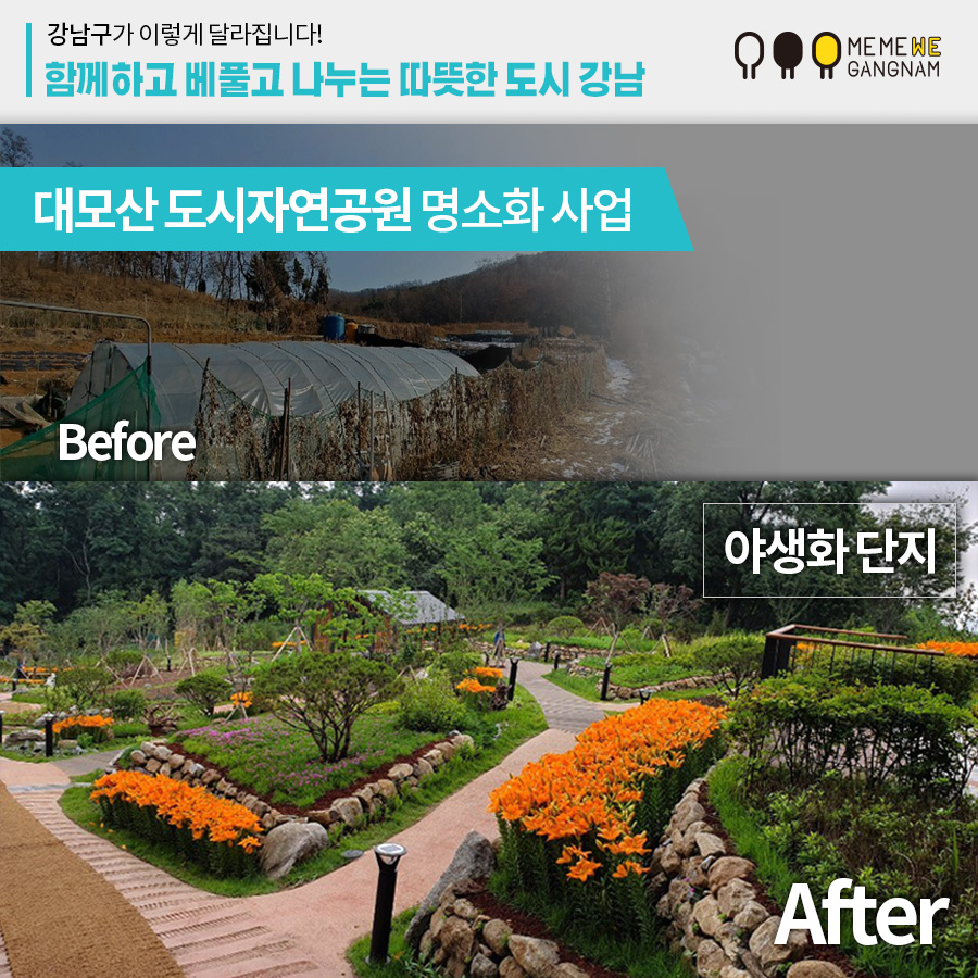 대모산 도시자연공원 명소화 사업 야생화 단지 Before After