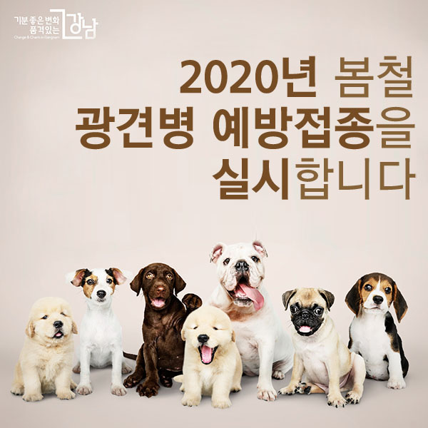 2020년 봄철 광견병 예방접종을 실시합니다.