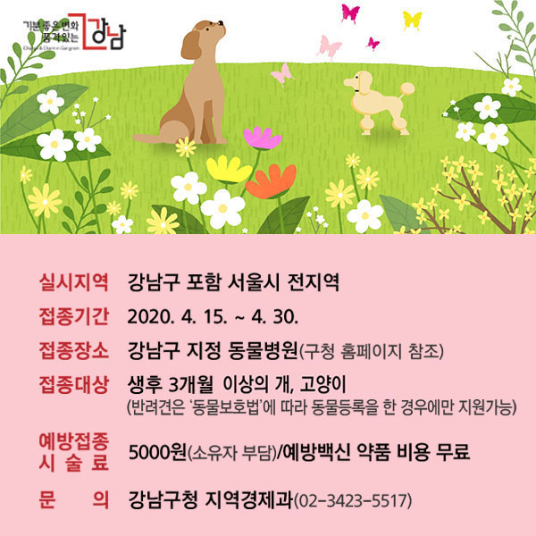 실시지역 : 강남구 포함 서울시 전지역 접종기간 : 2019. 10. 16. ~ 10. 30. 접종장소 : 강남구 지정 동물병원(구청 홈페이지 참조) 접종대상 : 생후 3개월 이상 된 모든 개, 고양이 (반복접종은 동물병원 수의사와 상담 후 접종) 예방접종 시술료 : 5,000원(소유자 부담) / 예방백신 약품 값은 무료 문의 : 강남구청 지역경제과 동물관리팀(02-3423-5517)