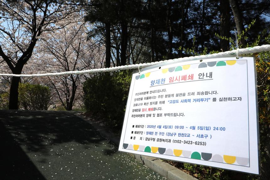 양재천의 강남구∼서초구 전 구간이 지난 4∼5일에 이어 이번 주말인 11∼12일도 전면통제된다. 조은희 서초구청장과 정순균 강남구청장은 9일 주민여론을 수렴한 후 11일 오전 9시부터 12일 자정까지 양 자치구 관내 양재천 8.55km 전 구간을 폐쇄하기로 결정했다. 또 양 자치구는 정부의 고강도 ‘사회적 거리두기’ 지침에 따라, 13일부터 양재천 산책로 강남구 4.25km(탄천2교∼영동2교) 구간과 서초구 0.45km(영동2교∼수변 무대) 구간, 서초구 여의천 0.36km(여의1교∼여의교) 구간은 계속해서 일방통행을 시행키로 했다. 강남구는 양재천 인근 주민 684명에게 11∼12일 양재천 통제에 관한 의견을 수렴한 결과, 전면통제에 찬성하는 응답자가 66%로, 일방통행을 전제로 개방하자는 의견(34%)보다 우세했다고 전했다. 양 자치구는 “이번주 국내 코로나19 신규 확진자가 50명 내외로 감소세가 뚜렷해지고 있지만, 강남구와 서초구는 해외입국자들이 타 지역보다 많아 이번 주말이 그 어느 때 보다 구민여러분의 적극적인 협조가 필요한 시기”라며 “모든 행정력을 다해 하루빨리 코로나19를 종식하고 구민 여러분이 일상생활로 돌아가실 수 있도록 최선을 다하겠다”고 말했다.