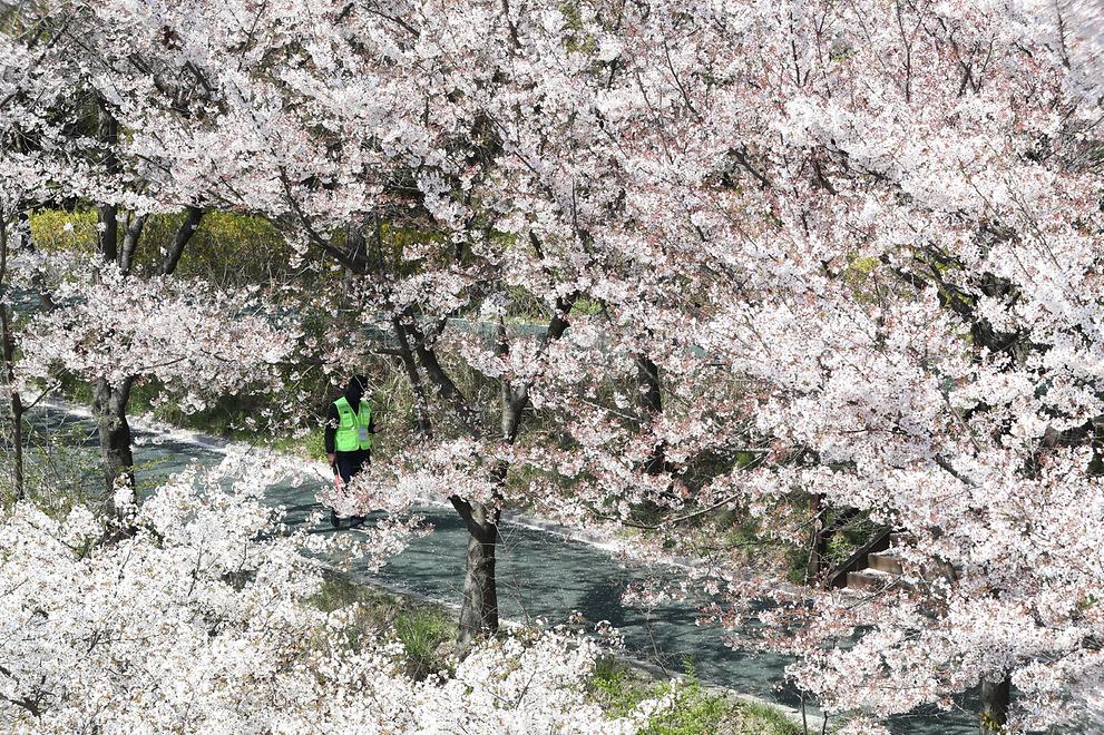 19~20일 8.55km 폐쇄 … “사회적 거리두기 마지막 주, 긴장 늦출 수 없어”